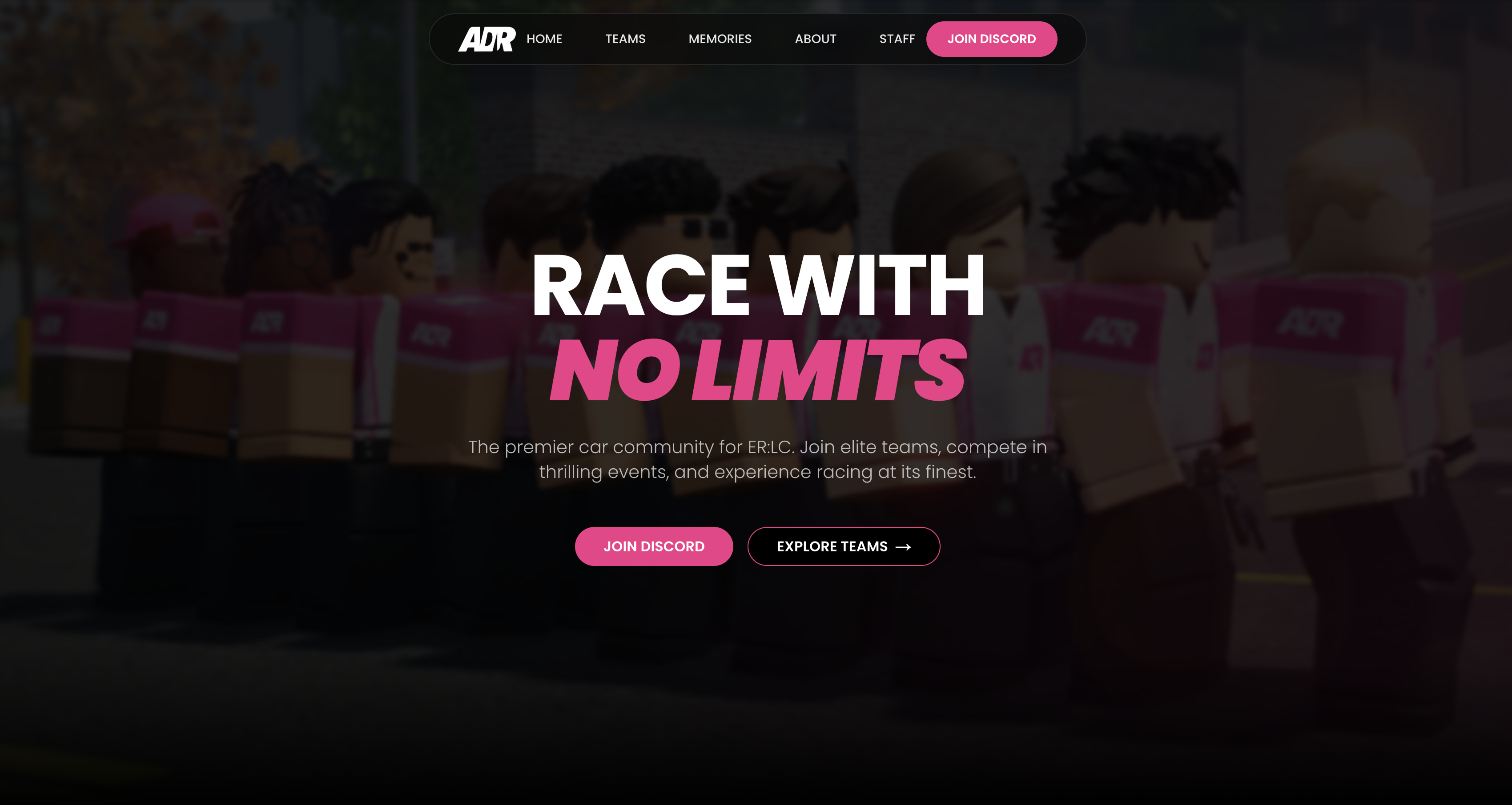 ADR Site Screenshot